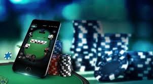 Area fitur Gold Toad yang rapi